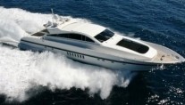 Sea lion II -  Rnning shot